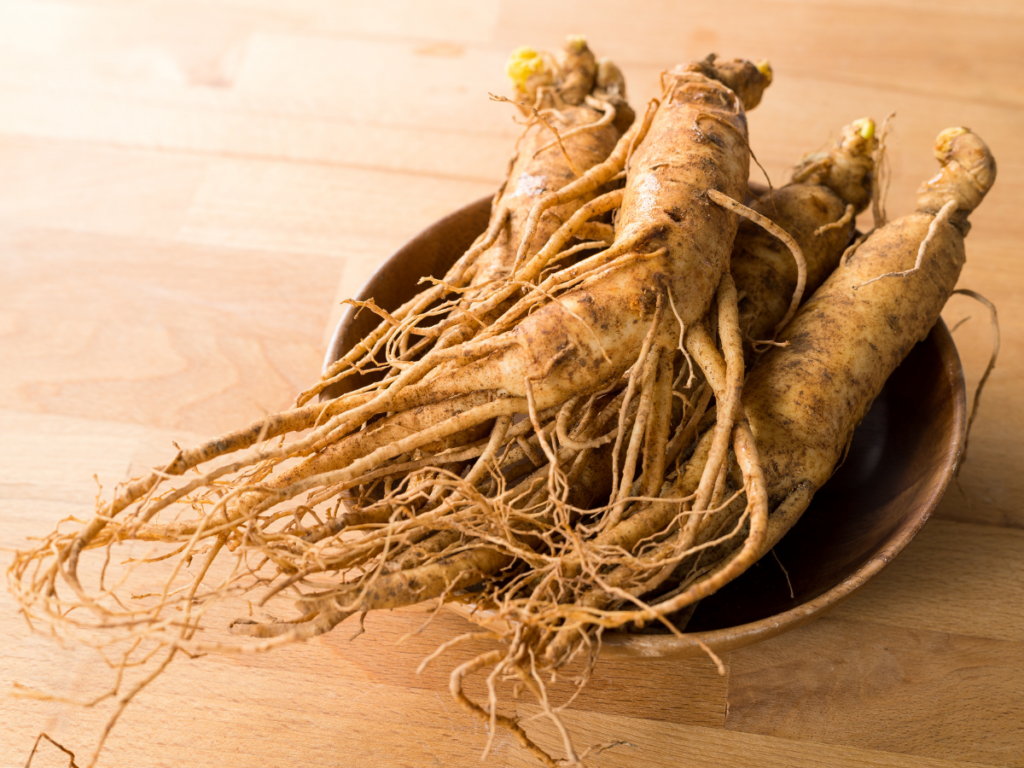 Korean ginseng root, a commonly used adaptogen 